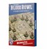 Picture of Bretonnian Pitch Double-sided Pitch and Dugouts Blood Bowl
