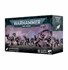 Picture of Tormentors Emperors Children Warhammer 40K
