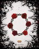 Picture of Black Rose Wars Hidden Thorns