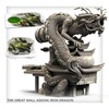Picture of The Great Wall Iron Dragon Blister