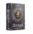 Picture of The Dark Coil  Ascension (Paperback)
