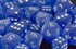 Picture of Chessex Frosted™ Polyhedral Blue/white 7-Die Set