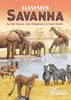 Picture of Ecosystem: Savanna