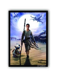 Picture of Rey Sleeves