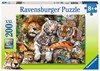 Picture of Big Cat Nap XXL (Jigsaw Puzzle 200pc)