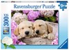 Picture of Cute Friends XXL - Sweet Dogs in a Basket (300pc Jigsaw Puzzle)
