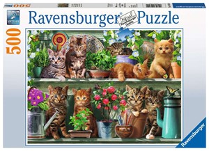 Picture of Cats on The Shelf (Jigsaw 500pc)