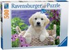 Picture of Sweet Golden Retriever (500pc Jigsaw Puzzle)