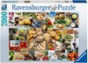 Picture of Food Collage (Jigsaw 2000pc)