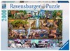 Picture of Amazing Wild Animal Kingdom (2000pc Jigsaw puzzle)