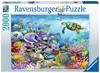 Picture of Coral Reef Mystery (2000pc Jigsaw puzzle)