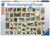 Picture of Animal Stamps (Jigsaw 3000pc)