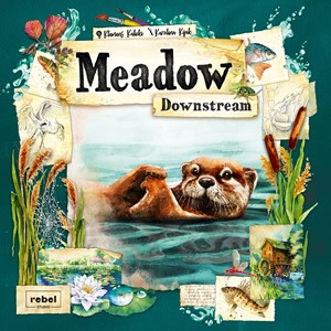 Picture of Meadow Downstream