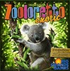Picture of Zooloretto Exotic Board Game Expansion