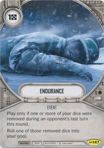 Picture of Endurance
