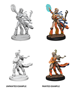 Picture of Human Female Sorcerer Pathfinder Deep Cuts Unpainted Miniatures
