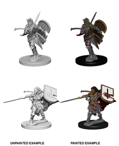 Picture of Human Female Paladin Pathfinder Deep Cuts Unpainted Miniatures