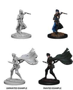Picture of Elf Female Rogue Pathfinder Deep Cuts Unpainted Miniatures