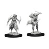 Picture of Tiefling Rouge Dungeons and Dragons Nolzur's Marvelous Miniatures