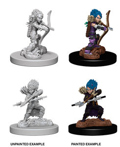 Picture of Gnome Female Rogue Pathfinder Deep Cuts Unpainted Minis