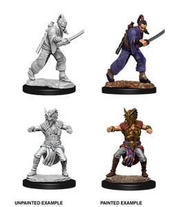 Picture of Human Male Monk Dungeons & Dragons Nolzur's Marvelous Unpainted Minis