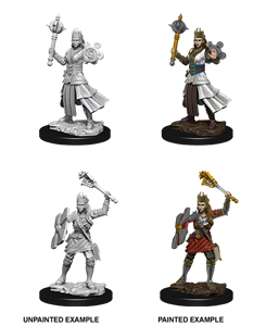 Picture of Human Female Cleric Dungeons & Dragons: Nolzur's Marvelous Unpainted Minis