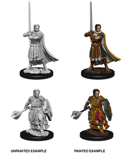 Picture of Human Male Cleric Dungeons & Dragons: Nolzur's Marvelous Unpainted Miniture