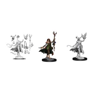 Picture of Human Druid Female - D&D Frameworks (W1)