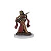 Picture of Human Bard Female Pathfinder Battles Premium Painted Figure (W2)