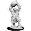 Picture of Ogre: Pathfinder Battles Deep Cuts Unpainted Miniatures (W11)