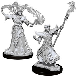 Picture of Male Human Sorcerer: Pathfinder Battles Deep Cuts Unpainted Miniatures (W11)