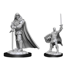 Picture of Human Paladin Male - D&D Nolzur's Marvelous Miniatures