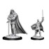 Picture of Human Paladin Male - D&D Nolzur's Marvelous Miniatures