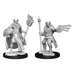 Picture of Multiclass Cleric + Wizard Male D&D Nolzur's Marvelous Unpainted Miniatures (W13)