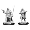 Picture of Human Rogue Male Pathfinder Battles Deepcuts Unpainted Miniatures (W13)