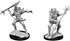 Picture of Koalinths D&D Nolzur's Marvelous Unpainted Miniatures (W14)