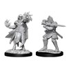 Picture of Hobgoblin Fighter Male & Hobgoblin Wizard Female D&D Nolzur's Marvelous Miniatures (W15)