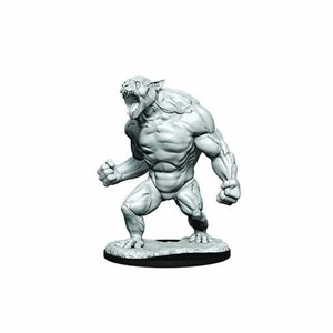 Picture of Critical Role Unpainted Miniatures (W1) Aeorian Reverser