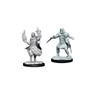 Picture of Critical Role Unpainted Miniatures (W1) Hollow One Rogue and Sorceror Male