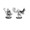 Picture of Critical Role Unpainted Miniatures (W1) Hobgoblin Wizard and Druid Male