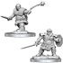 Picture of Dwarf Fighter Female D&D Nolzur's Marvelous Unpainted Miniatures (W16)