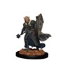 Picture of Male Elf Cleric: D&D Icons of the Realms Premium Miniatures