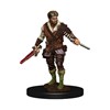 Picture of Human Rogue Male D&D Icons of the Realms Premium Figures (W4)