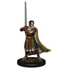 Picture of Human Cleric Male D&D Icons of the Realms Premium Figures (W4)