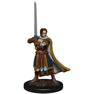 Picture of Human Cleric Male D&D Icons of the Realms Premium Figures (W4)