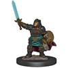Picture of Dwarf Paladin Female D&D Icons of the Realms Premium Figures (W4)