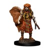 Picture of Human Druid Male D&D Icons of the Realms Premium Figures (W4)