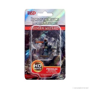 Picture of Human Wizard Female D&D Icons of the Realms Premium Figures (W4)