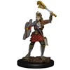 Picture of Human Cleric Female D&D Icons of the Realms Premium Figures (W4)