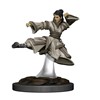 Picture of Human Monk Female D&D Icons of the Realms Premium Figures (W4)